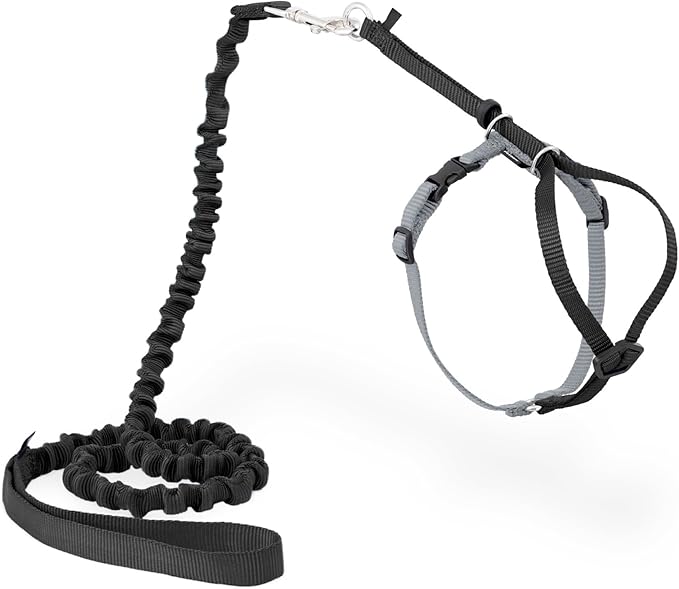 PetSafe Come With Me Kitty Cat Harness & Bungee Leash - Comfortable Cat Harness with Lightweight Bungee Leash for Outdoor Fun - More Secure Walks - Medium - Black