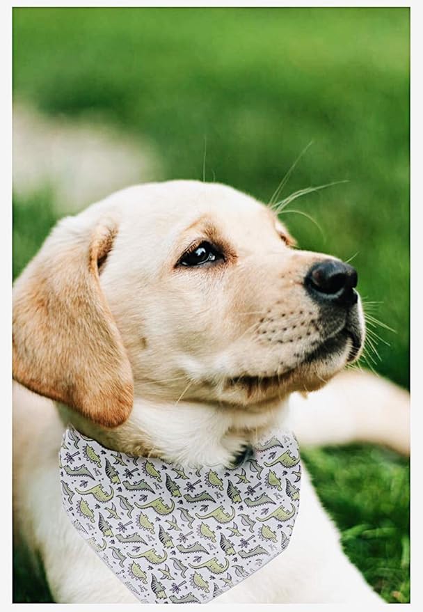 ARING PET Dinosaur Dog Bandanas, Summer Kerchief Triangle Bibs Scarf for Puppy Small Medium Large Boy Girl Dogs Cats-S