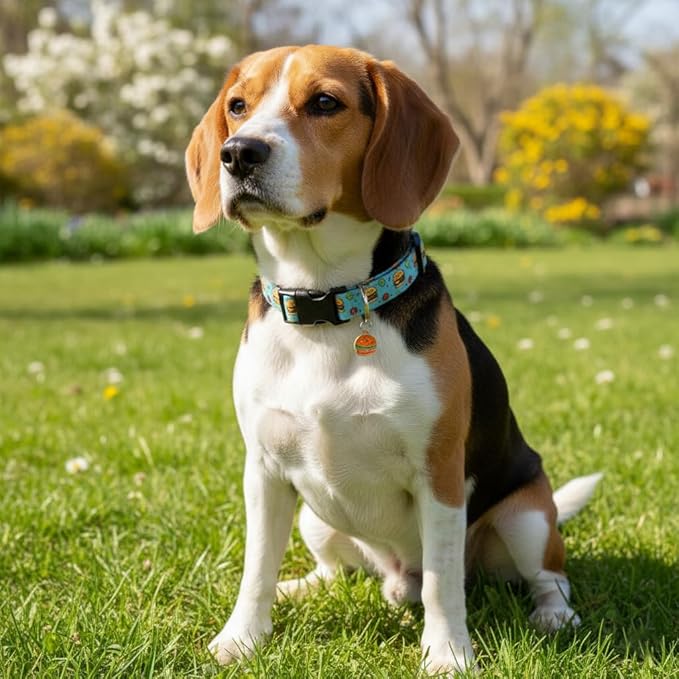 Cute Dog Collar, Blue Dog Collar with Burger Pattern and Cute Charm, Puppy Collar with Quick Release Buckle and Durable Fabric, Suitable for Small Dogs