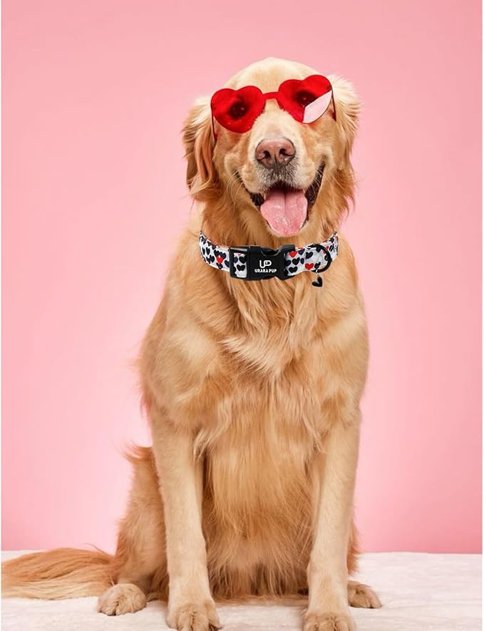 Valentine's Dog Collar, UP URARA PUP Love Heart Adjustable Pet Collar with Bowknot Charm, Daily Dog Accessories for Small Medium Large Dogs