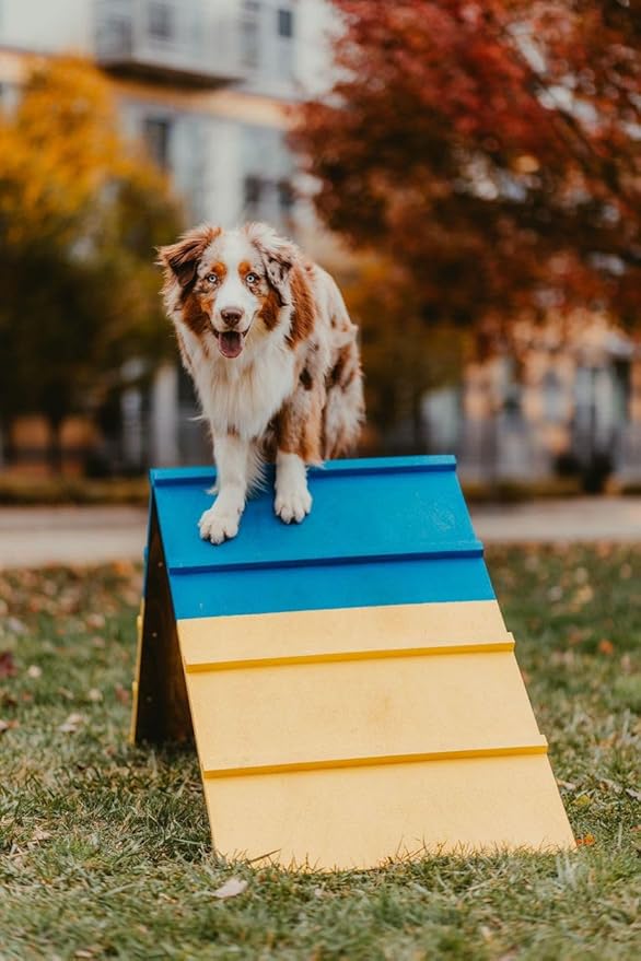 Better Sporting Dogs Agility A-Frame | Dog Agility Equipment | Dog Agility Course Equipment