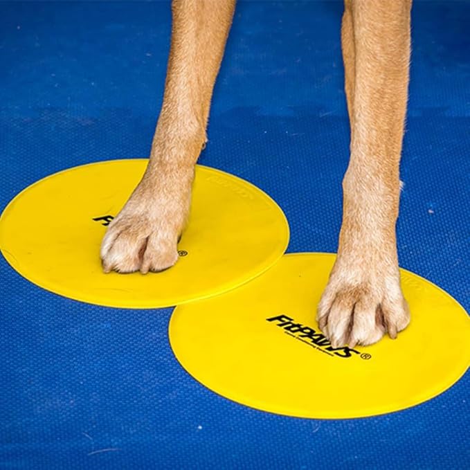 FitPAWS Targets