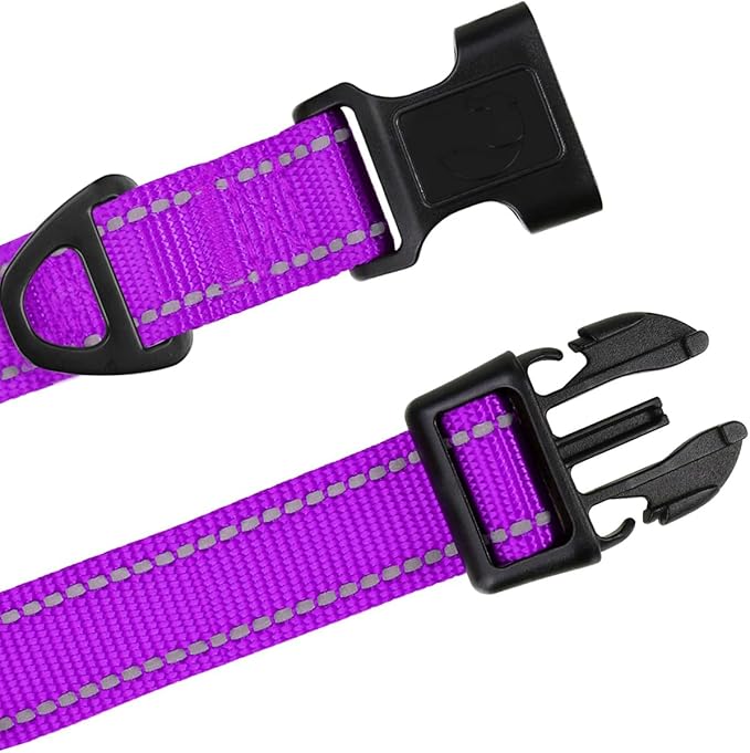 TagME Reflective Nylon Dog Collars, Adjustable Classic Pet Collar with Quick Release Buckle for Large Dogs, Purple, 1.0" Width