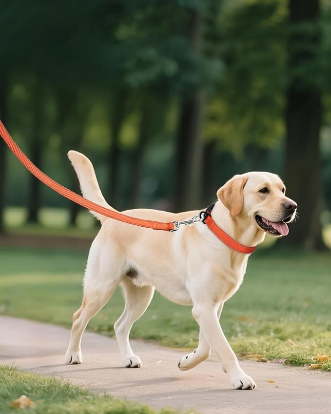 Joytale Reflective Dog Collar, Adjustable Nylon Pet Collar with Quick-Release Buckle for Medium Dogs, Orange, M