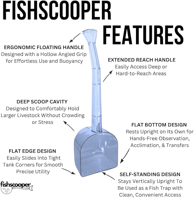 Fish Scooper, Acclimation Container, Fish Trap, Floating Fish Net, Axolotl Tank Accessories, Aquarium Cleaning Tools, Photography, Tool, Aquarium Accessories, Breeder Box