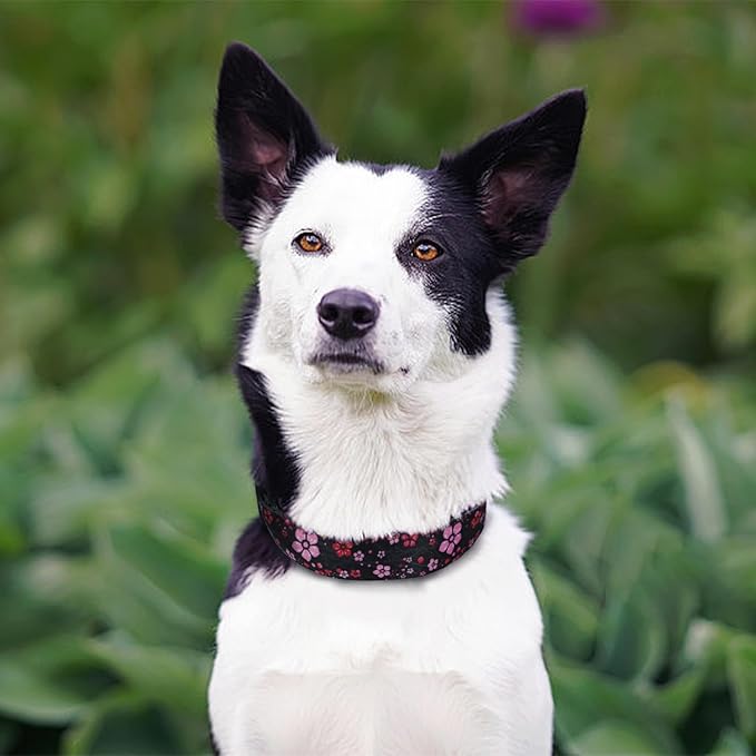 QQPETS Adjustable Soft Dog Collar: Print Flower Pink Multicolor Cute Patterns for XS Small Medium Large Pet Girl Boy Puppy Walking Running Training