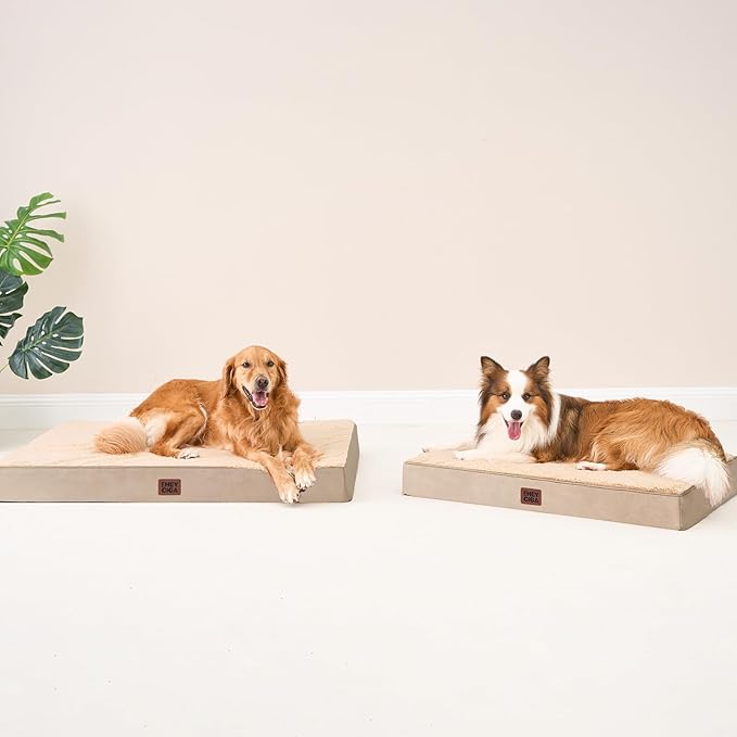 EHEYCIGA Orthopedic Dog Beds for Large Dogs with Removable Washable Cover, Khaki, 36x27