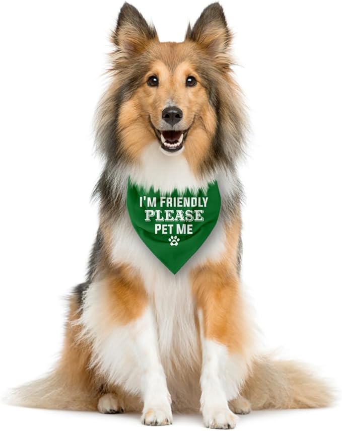 I'm Friendly Please Pet Me Dog Bandana - Green Triangle Scarf for Small to Large Dogs (D50)