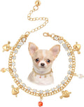 HOWWFALY Dog Collar and Cat Chain Necklace Stainless Steel Adjustable 18K Gold Heart-Shaped Rhinestone Necklace with Bell Accessory for Small Pets Cats Kitten Puppy
