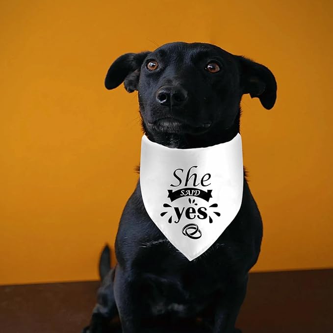 She Said Yes Dog Bandanas, Wedding Dog Scarf, Engagement Announcement Pet Scarf Accessories, Adjustable Dog Bandanas for Small Medium Larger Dogs Cats (White)