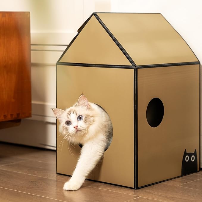 Cardboard Cat House with Scratch Pad & Catnip, Cat Play Scratching House for Indoor Hideaway Furniture, Heavy Duty Sturdy Cardboard Scratcher, Easy to Assemble Birthday Gift, Medium