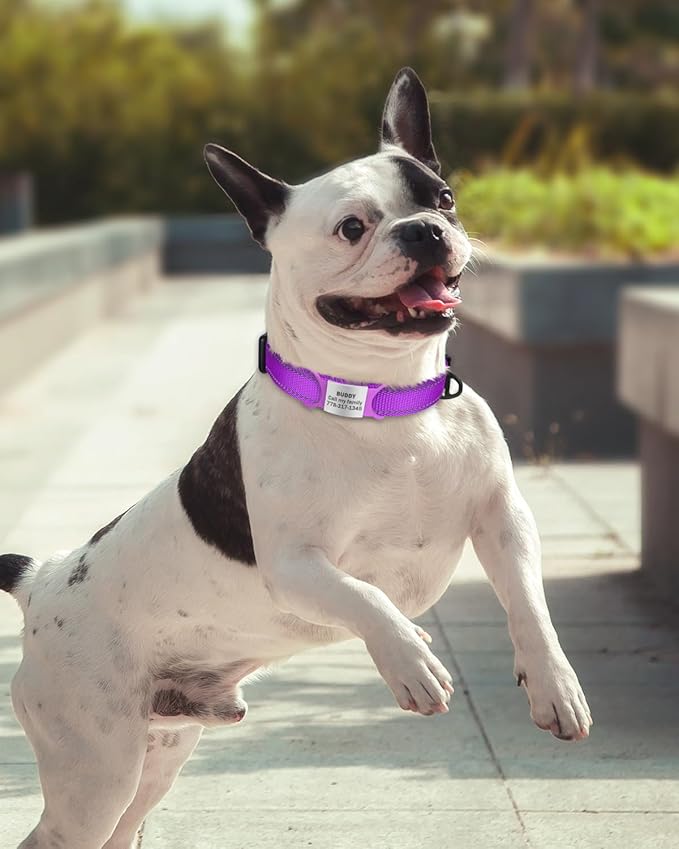 TagME Reflective Nylon Dog Collars, Adjustable Classic Pet Collar with Quick Release Buckle for Small Dogs, 3/4" Width Purple