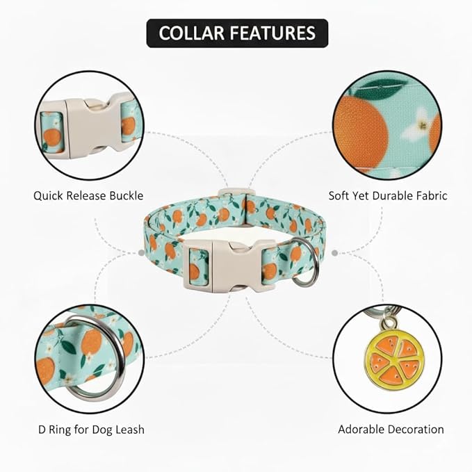 Dog Collar, Spring Summer Dog Collar with Orange Print and Charm, Cute Spring Summer Fruit Collar with Soft & Breathable Fabric, Adjustable Pet Collar for Medium Dogs