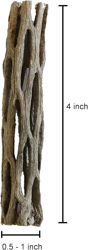 Natural Cholla Wood for Aquarium Decoration Shrimp and Fish Tank (4 Inch (3 Pack))