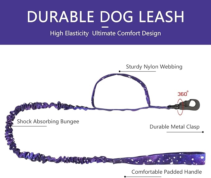 DAGANXI Tactical Dog Collar, Adjustable Military Training Nylon Dog Collar with Control Handle and Heavy Metal Buckle for Medium and Large Dogs, with Patches and Airtags Case (M, Purple Sky-Set)