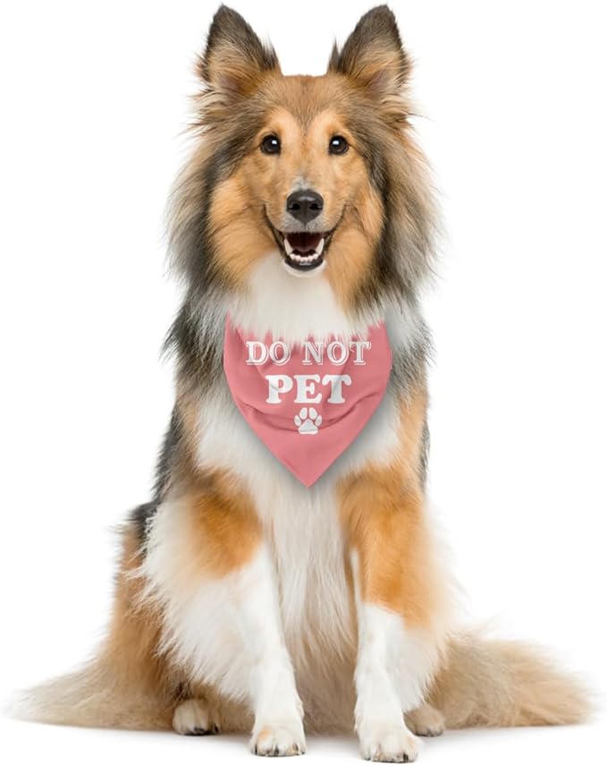 E61 Dog Triangle Scarf - Cute & Funny Pink Bandana - Small, Medium & Large Dogs - Gift for Dog Lovers
