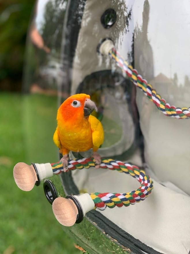 Bird Traval Carrier Cage, Clear Space Capsule Astronaut Backpack to Carry Parakeet Cockatiel Parrot with Metal Tray Bird Feeder and Wood Perch, Vet Transport Bag