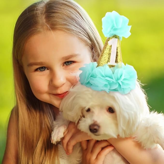 Stock Show 1st Pet Birthday Cone Hat Dogs Cats Holiday Party Hat Headwear Costume with Flowers Accessories and Adjustable Headband for Small Medium Dogs Cats Pets Baby (Blue)