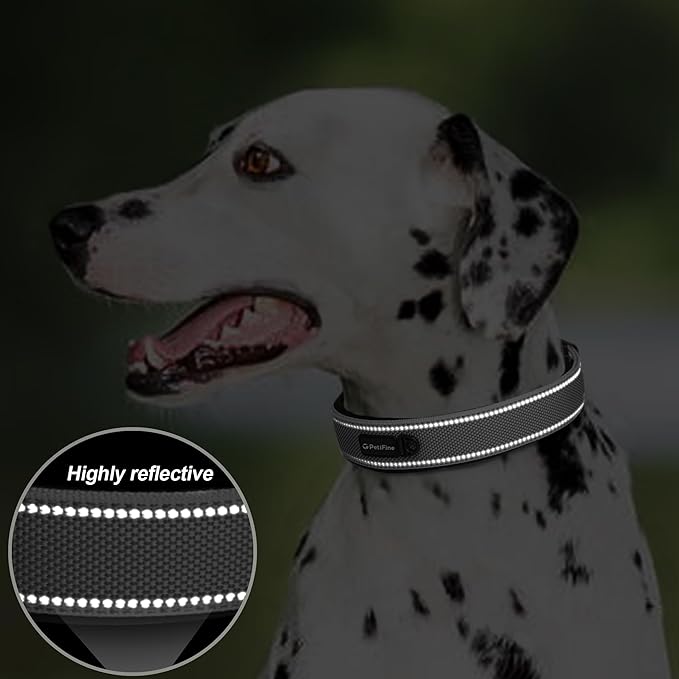 PetiFine Dog Collars for Small Dogs, Neoprene Padded Dog Collar, Reflective Heavy Duty Pet Collars with Durable Metal Belt Buckle for Walking, Grey, S