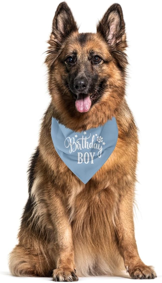 Happy Birthday Dog Bandana for Small Medium Large Dogs - Light Blue, Boy 1st Birthday Gift for Dog Lovers (A17)