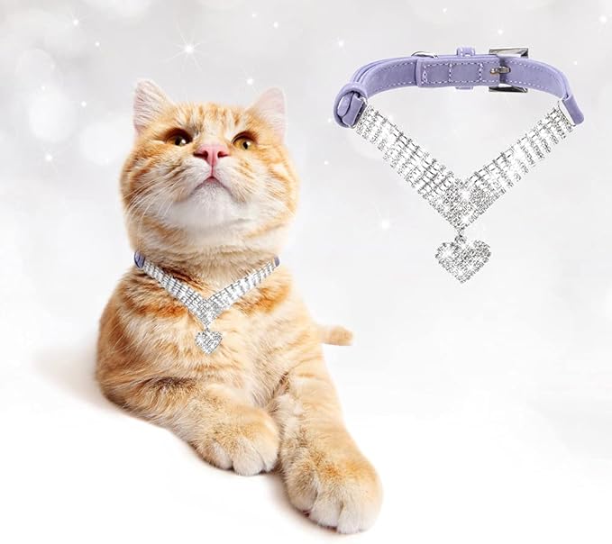 EXPAWLORER Cute Dog Necklace - Rhinestone Dog Collar, Soft Velvet Collar for Girl Boy Cats Dogs, Sparkling Pet Neck Decoration, Adjustable Pet Collar for Puppies Cats Small Medium Dogs, Purple M