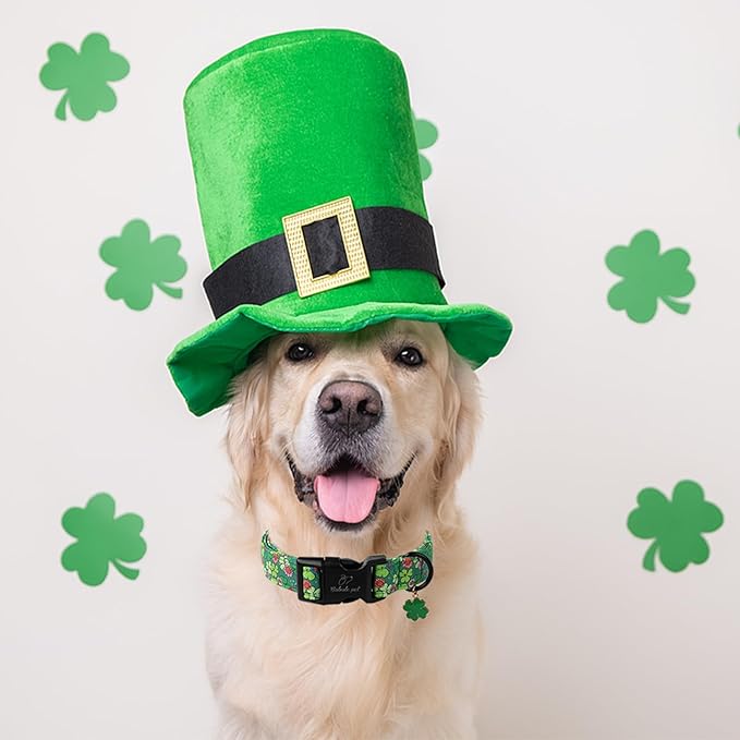 St Patricks Day Dog Collar for Small Dogs - Lucky Flower Shamrock Green Dog Collars, Cute Irish Clover Puppy Collar with Quick Release Buckle for Girls&Boys Dogs S