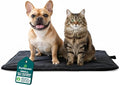 FurHaven ThermaNAP Self Warming Cat Mat, Dog Bed for Crates with Self-Warming Technology for Cozy Rest, Fully Machine Washable, Small, Plush Faux Fur, Black