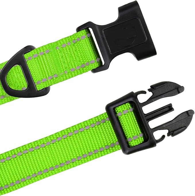 TagME Reflective Nylon Dog Collars, Adjustable Classic Collar with Quick Release Buckle for Extra Small Dogs, Green, 5/8" Width