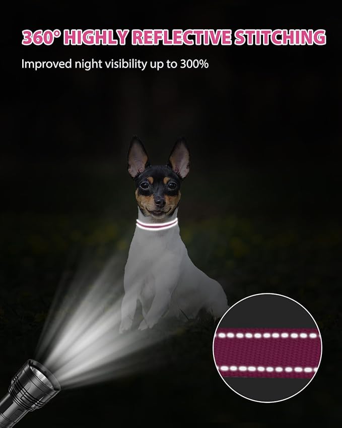 Joytale Small Dog Collar, Reflective and Adjustable Nylon Collar with Quick-Release Buckle, Lightweight No-Choke Design for Puppy and Extra Small Dogs, Hotpink, XS