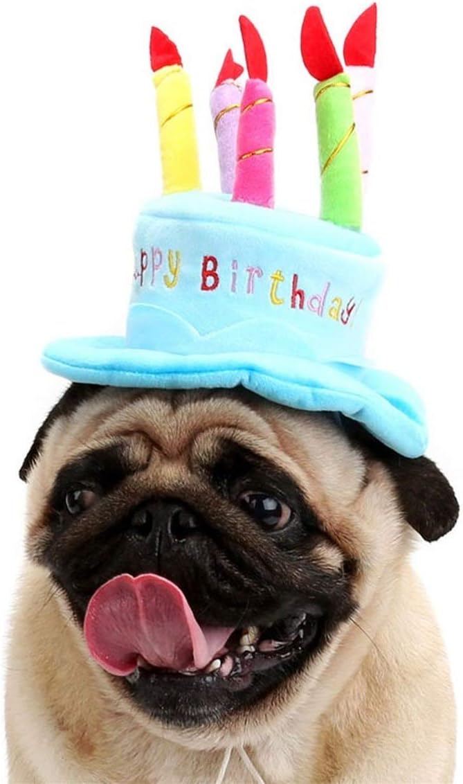 Cute Adorable Dog Cat Birthday Cake Hat Pet Cap Headwear Hat with 5 Color Candles Design Party Custom Accessory (One Size fits Most) (Blue)