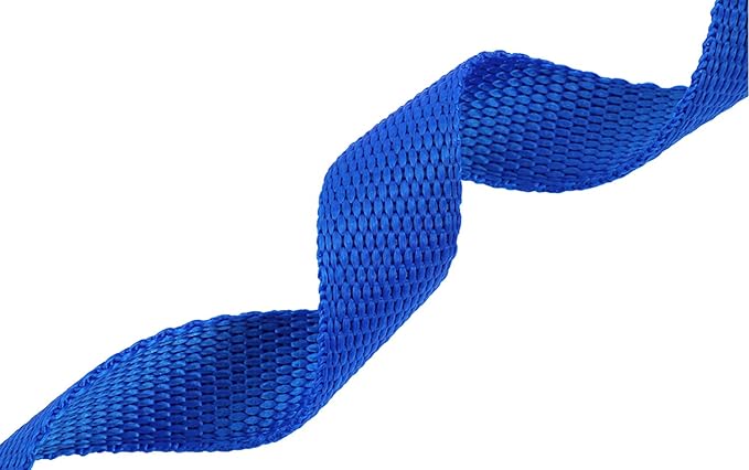 AmaGood Dog/Puppy Obedience Recall Training Agility Lead-15 ft 20 ft 30 ft 50 ft Long Leash-for Dog Training,Tie Out,Play,Safety,Camping (50 feet, Blue)