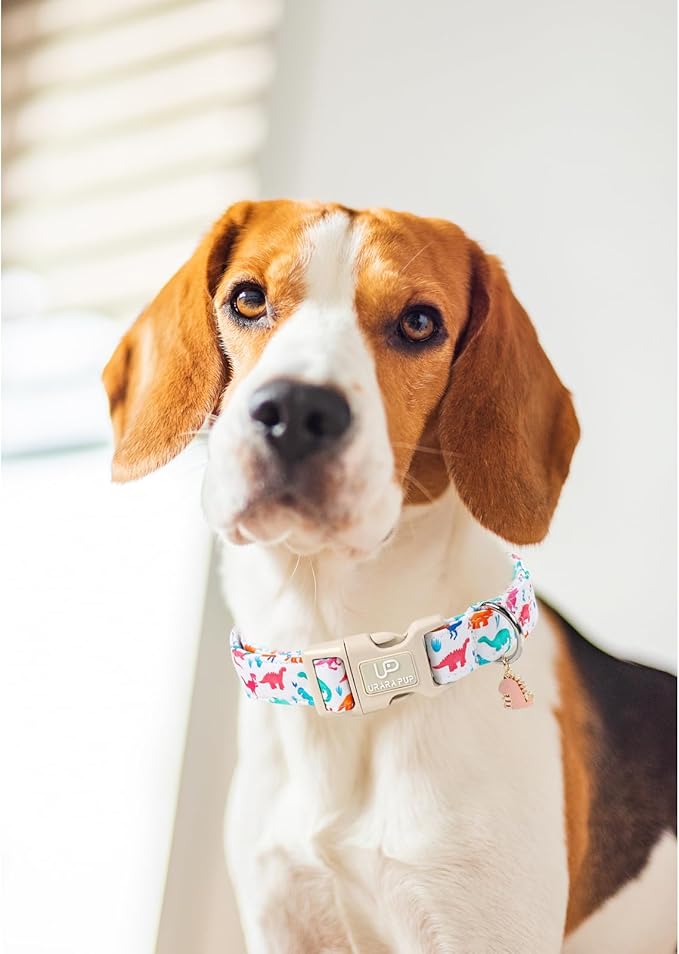 Summer Dog Collar, Adorable Dinosaur Cotton Dog Collar with Quick Release, Gift Dino Collars for Small Medium Large Boys Dogs Cute Durable Comfortable Pet Collars