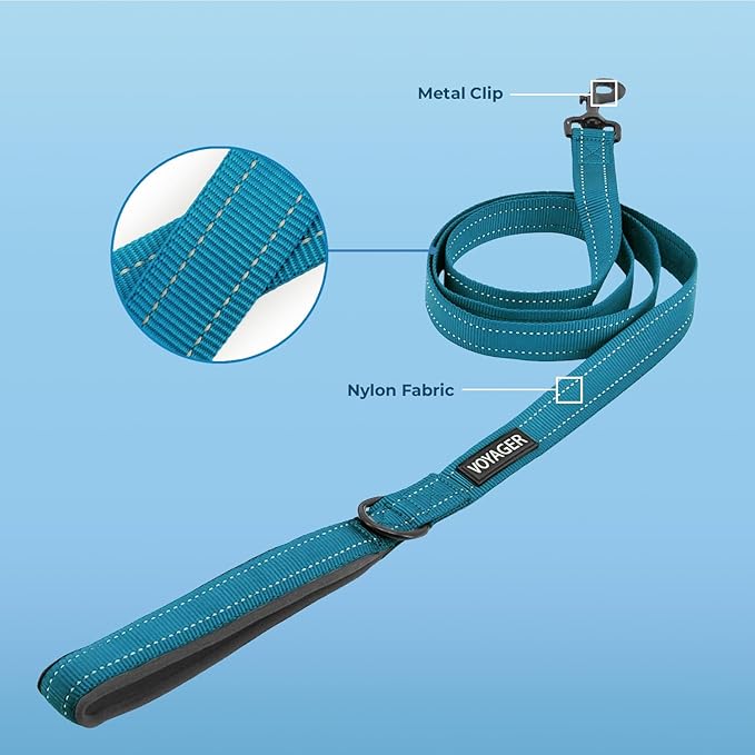Best Pet Supplies Voyager Reflective Dog Leash or Collar with Neoprene Handle, for Small, Medium, and Large Breed Puppies, Cute and Heavy Duty for Walking, Running and Training - Turquoise Leash, L