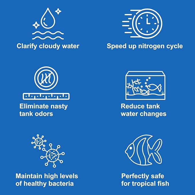 Aquarium Stone for Natural Water Clarification and Odor Removal Featuring Beneficial Bacteria (Medium)