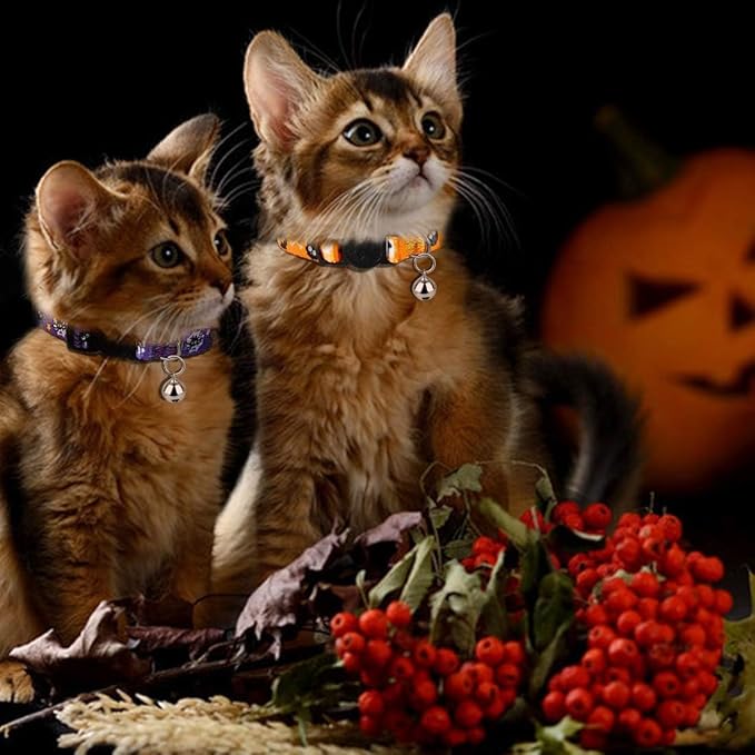 azuza 4 Pack Halloween Kitten Collars Breakaway with Bells, Adjustable Cat Collars with Safety Buckle,Adjustable from 6"-8", Skull and Crossbones,Ghosts, Spider and Pumpkin Prints