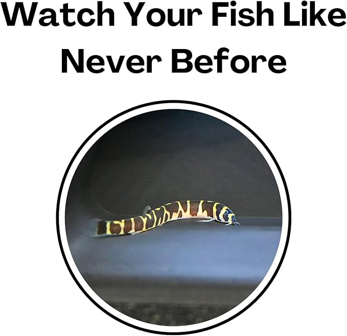 Aquarium Underground Tunnel Cave Natural Curve Two Hole | Viewing Fish & Shrimp Under Gravel Tunnel | Fish Tank Decor Decoration Hideout Perfect for Corydora Catfish, Kuhli Loach, Pleco