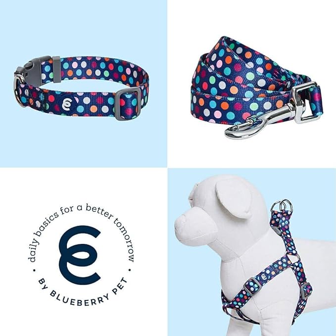 Blueberry Pet Essentials Rainbow Polka Dots Adjustable Dog Collar, Small, Neck 12"-16"