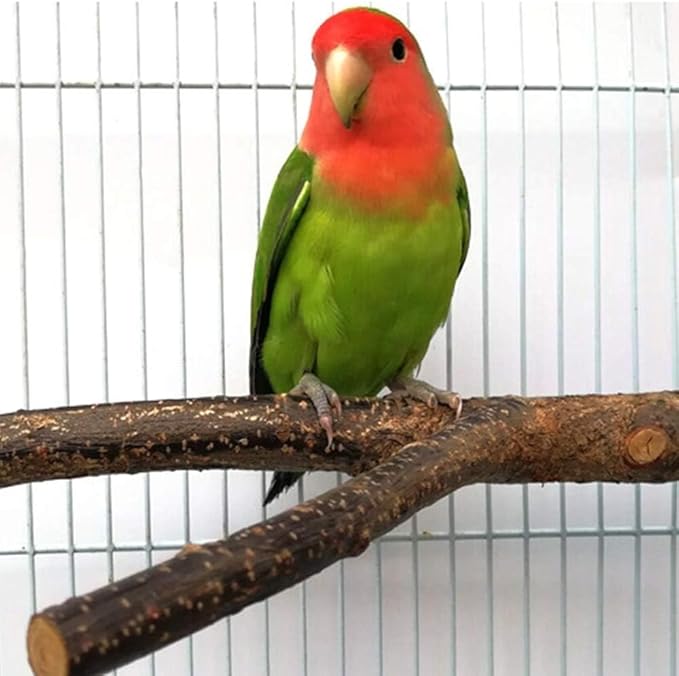 BILLIOTEAM 4 Pack Natural Wood Bird Perch Parrot Stand Branches Fork Toys,Pet Bird Cage Wooden Hanging Perch Platform Hammock Swing Toy for Small Parakeets,Budgies,Cockatiels,Conures,Finches