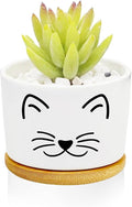 Window Garden Cat Planter Pots,Cat Gifts for Women/Men/Housewarming/Wedding/Festival Birthday Gifts Planter Pots,Outdoors/Indoors,Window Decor,Garden Decor,Yard Decor,Home Decor,Office
