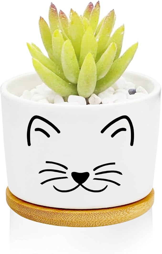Window Garden Cat Planter Pots,Cat Gifts for Women/Men/Housewarming/Wedding/Festival Birthday Gifts Planter Pots,Outdoors/Indoors,Window Decor,Garden Decor,Yard Decor,Home Decor,Office