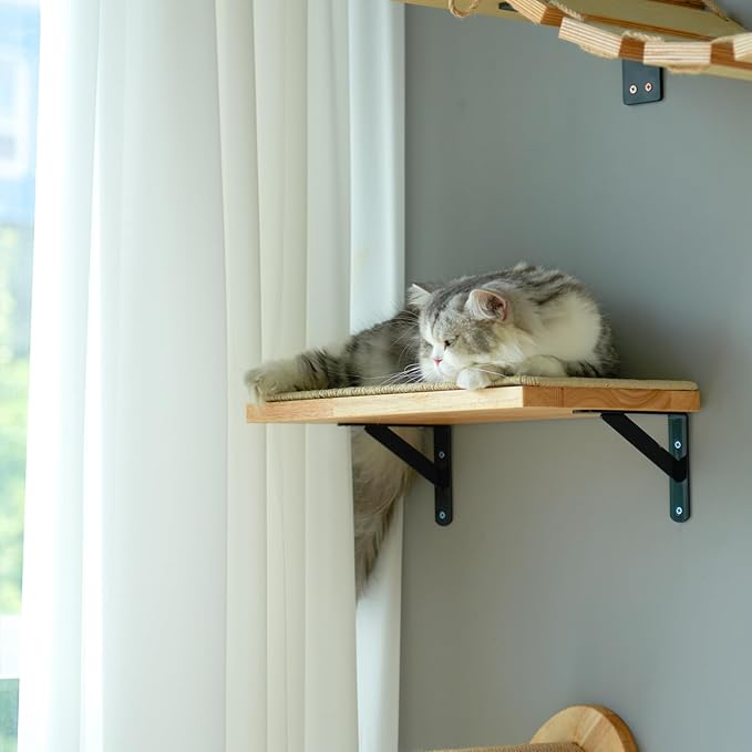 FUKUMARU Cat Wall Shelves, 17 x 10 Inch Cat Walls Furniture with Sisal Mat, Solid Rubber Wood Floating Shelf with Upgraded Installation, Kitten Wall Tree for Sleeping, Playing and Scratching