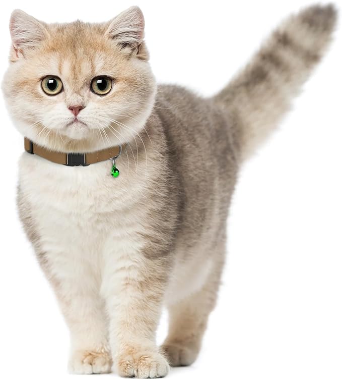Breakaway Cat Collar Leather with Removable Bell - 13 Colors Available - Soft Adjustable Girl Boy Safety Lightweight Pet Kitten Collars Pink Brown Blue Green Red Orange Black (Green)