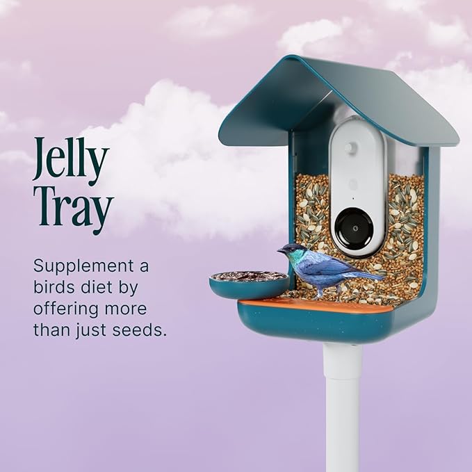 Birdbuddy 3-in-1 Nutrition Set - Outdoor Bird Accessories with Water Fountain, Fruit Spike & Jelly Tray Feeder - Durable, Easy Attachment for Bird House