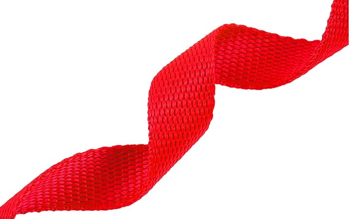 AmaGood Dog/Puppy Obedience Recall Training Agility Lead-15 ft 20 ft 30 ft 50 ft Long Leash-for Dog Training,Recall,Play,Safety,Camping (20feet, Red)