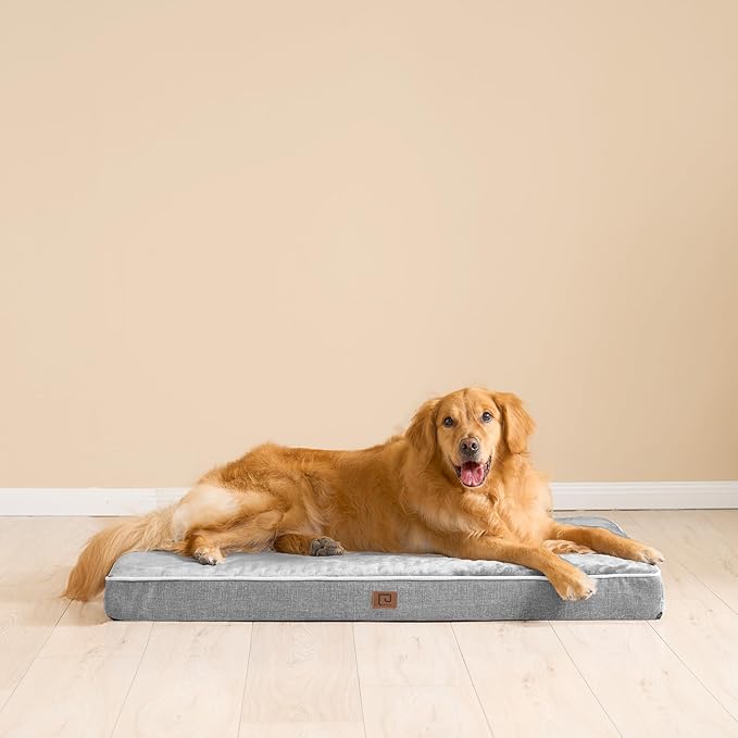 EHEYCIGA Waterproof Dog Bed Orthopedic 47"x29", Memory Foam Pet Bed for XXLarge Dog Bed, Washable Pet Mat with Removable Cover, Grey