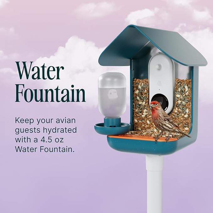 Birdbuddy 3-in-1 Nutrition Set - Outdoor Bird Accessories with Water Fountain, Fruit Spike & Jelly Tray Feeder - Durable, Easy Attachment for Bird House