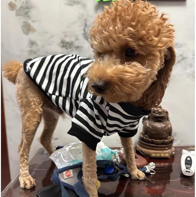 Autumn Dog Sweater with Leash Ring Warm Striped Puppy Shirt for Small Dog Girl Boy Cat Sweater Winter Pet Clothes Pomeranian Chihuahua Cold Weather Coat (Black, X-Small)