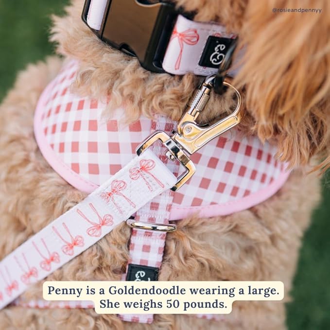Lucy & Co. Ballet Bows Dog Collar - Durable Lightweight Designer Collar for Pets - Adjustable Metal Safety Buckle - White & Pink Bows - Small
