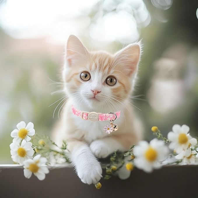 2 Pack Pink Cat Collars - Cute Bow & Daisy Breakaway Cat Collar with Bell & Matching Pendant, Soft Adjustable Spring Summer Girly Kitten Collars for Girl Cats