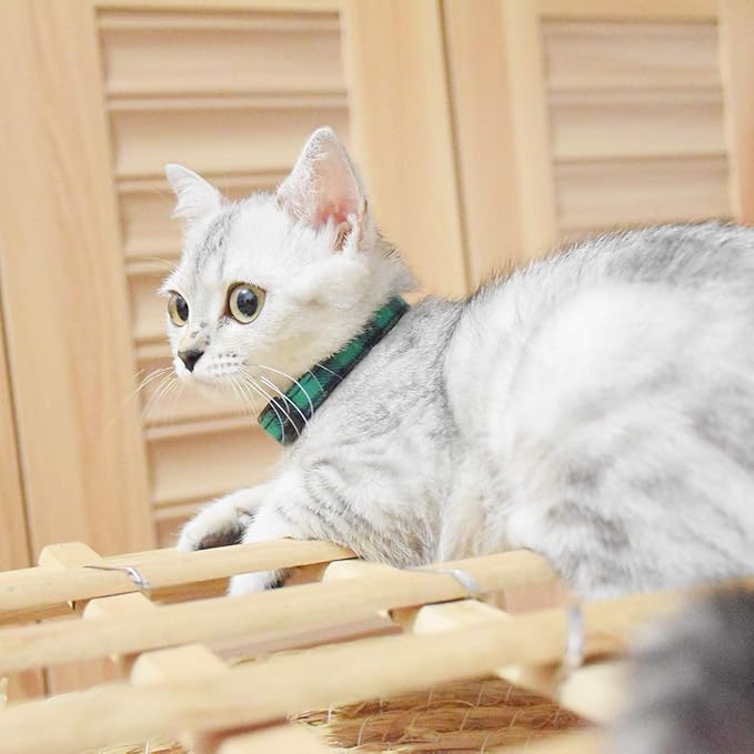 Breakaway cat Collars with Bell, Set of 3, Durable & Safe Cute Kitten Collars Safety Adjustable Kitty Collar for Cat Puppy 7.5-11in (Green,Cyan,Black)